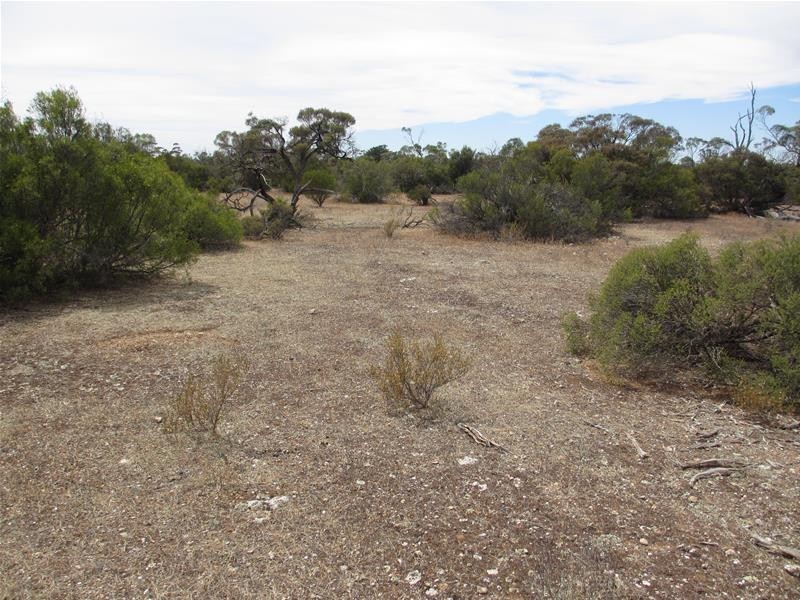 Section 204 Stott Highway, Swan Reach SA 5354