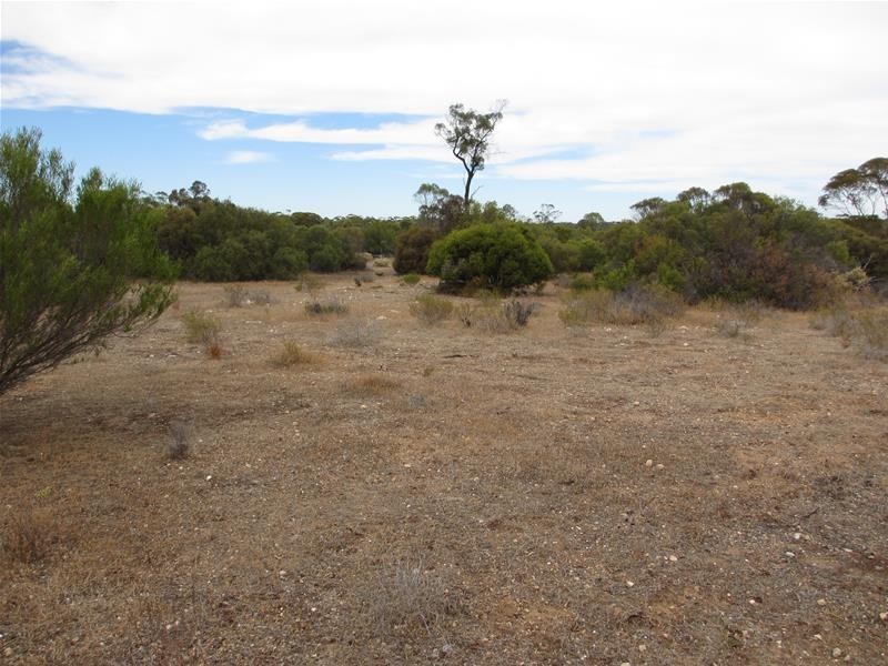 Section 204 Stott Highway, Swan Reach SA 5354