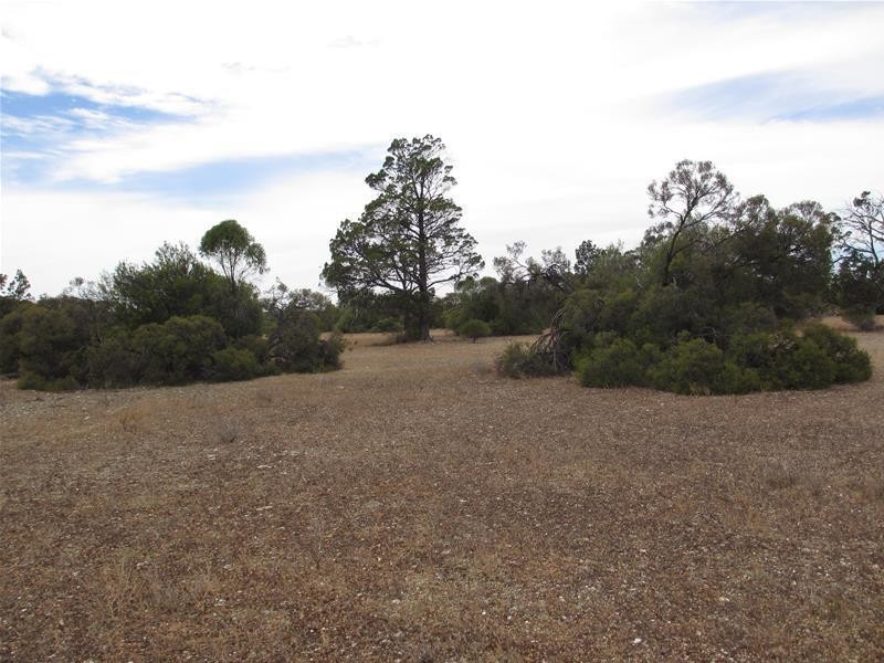 Section 204 Stott Highway, Swan Reach SA 5354