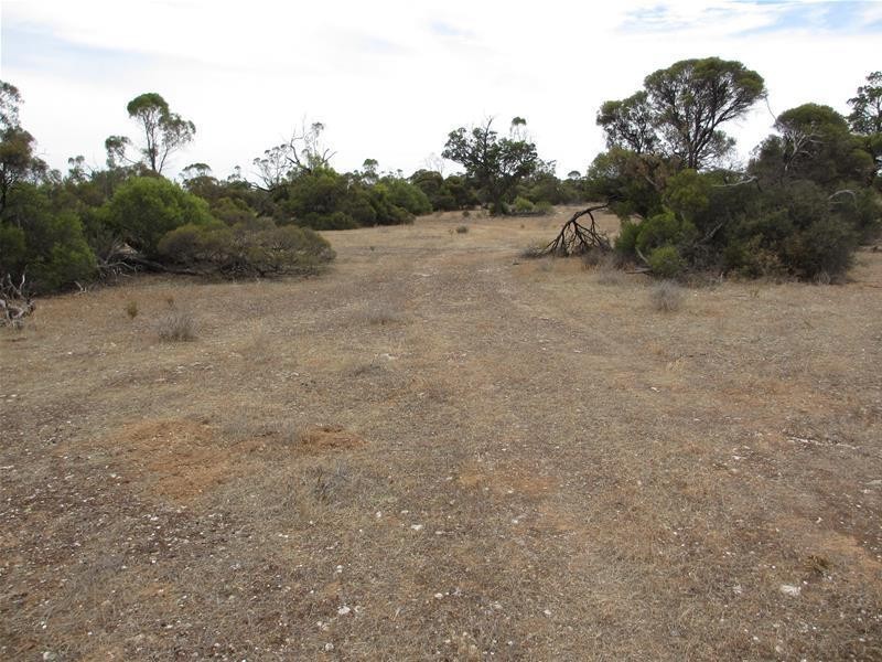 Section 204 Stott Highway, Swan Reach SA 5354