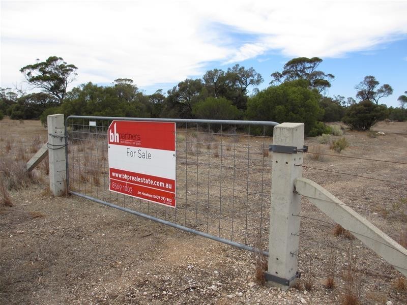 Section 204 Stott Highway, Swan Reach SA 5354