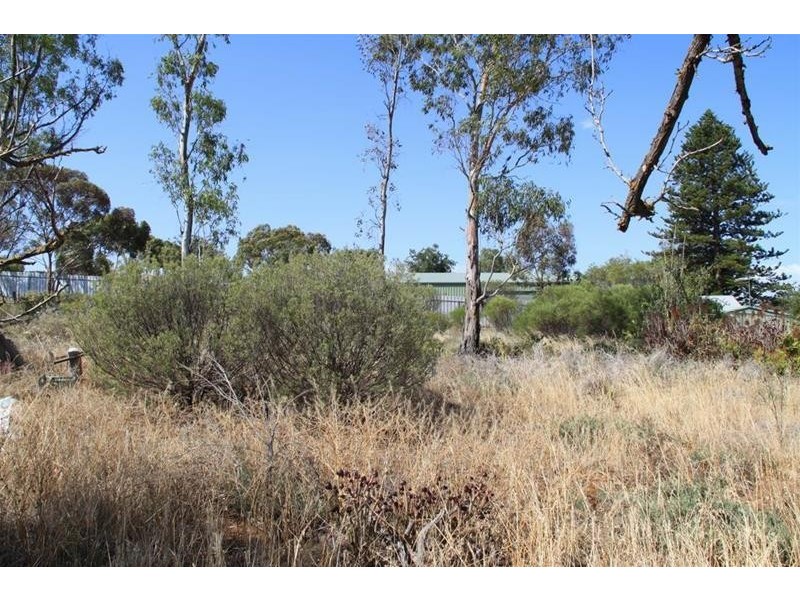 20 Victoria Street, Mannum SA 5238