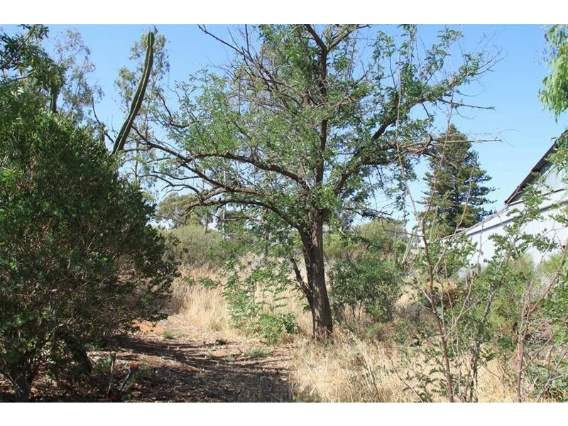 20 Victoria Street, Mannum SA 5238