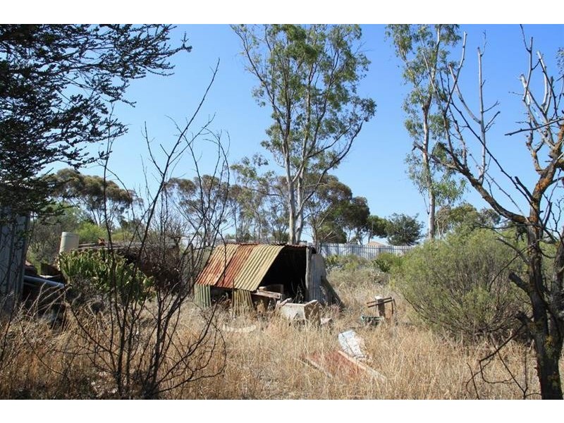 20 Victoria Street, Mannum SA 5238