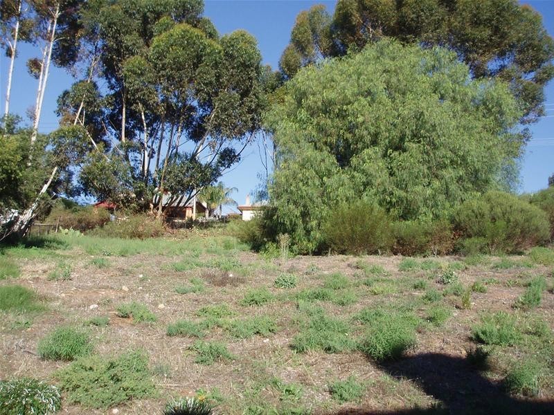 2 Hasse Hill Road, Swan Reach SA 5354