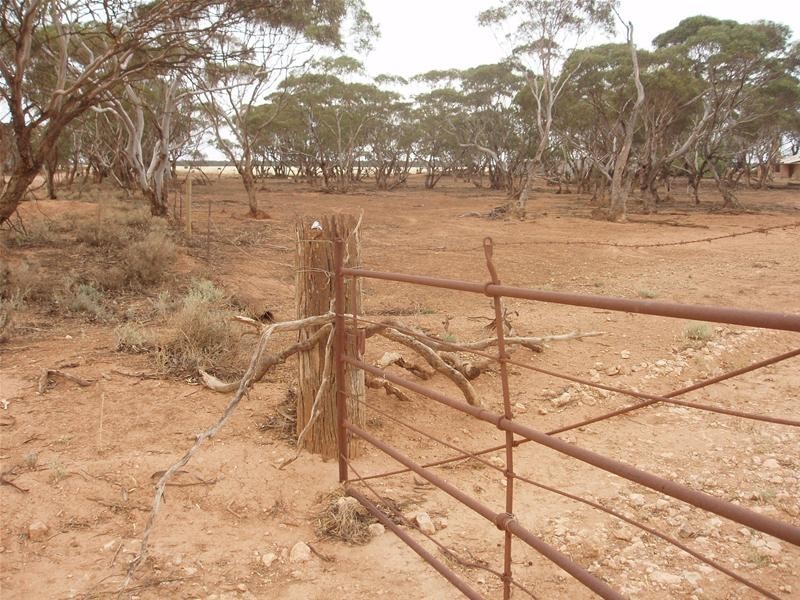 Lot/739 Bower Road Stonefield via, Sedan SA 5353