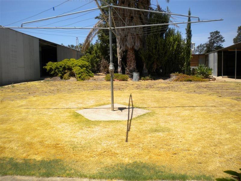 40 Anzac Avenue, Swan Reach SA 5354