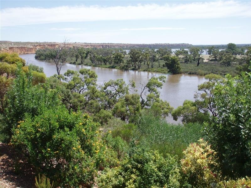 8 Hermanns Landing Road, Nildottie SA 5238