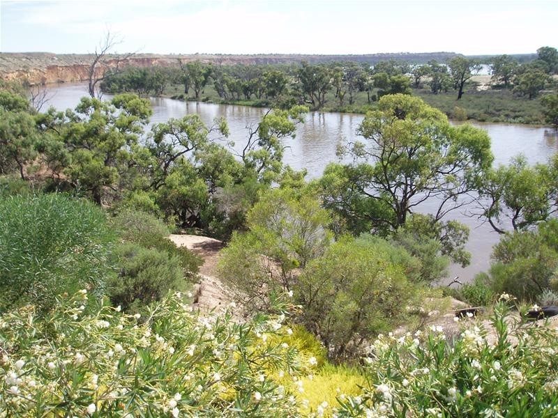 8 Hermanns Landing Road, Nildottie SA 5238