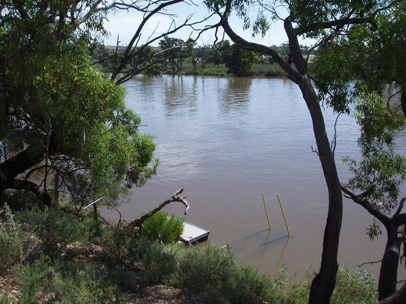 8 Hermanns Landing Road, Nildottie SA 5238