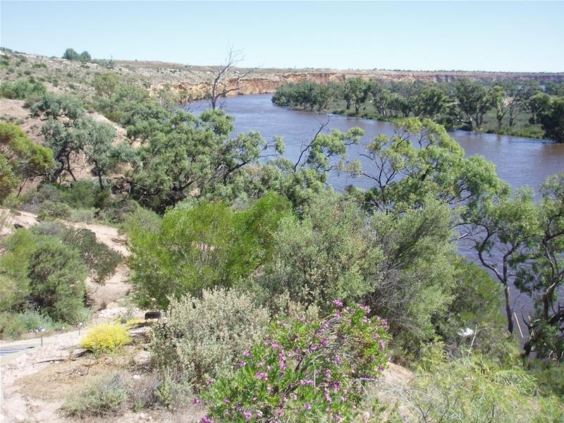 8 Hermanns Landing Road, Nildottie SA 5238