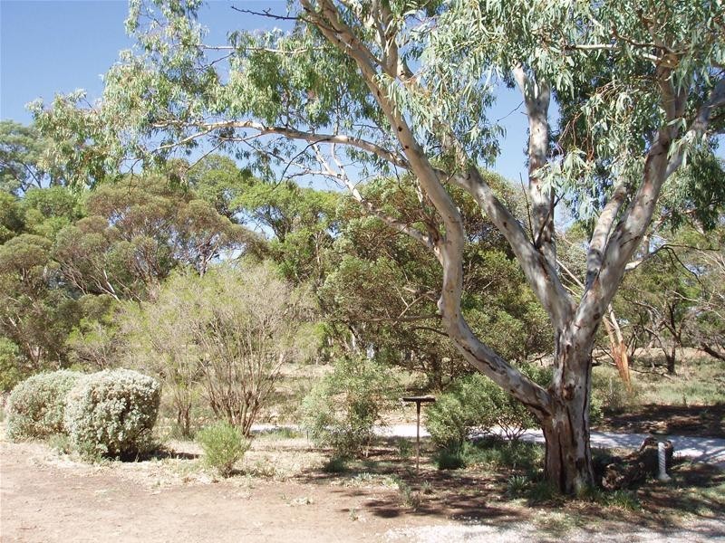 Lot 1, 1 Marne River Road, Cambrai SA 5353