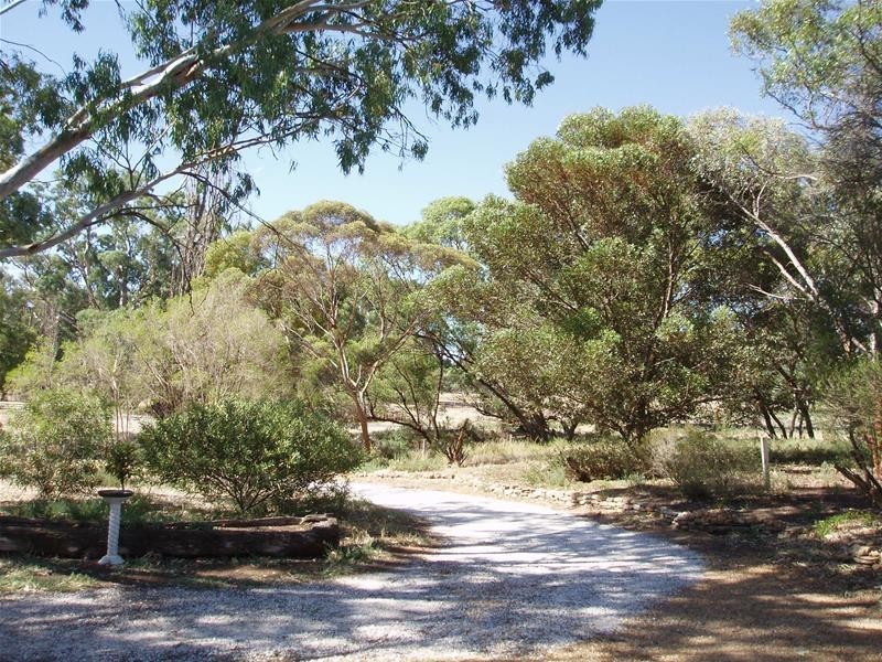 Lot 1, 1 Marne River Road, Cambrai SA 5353