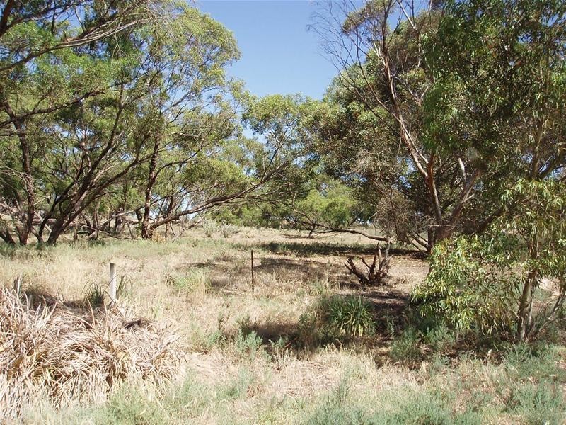 Lot 1, 1 Marne River Road, Cambrai SA 5353