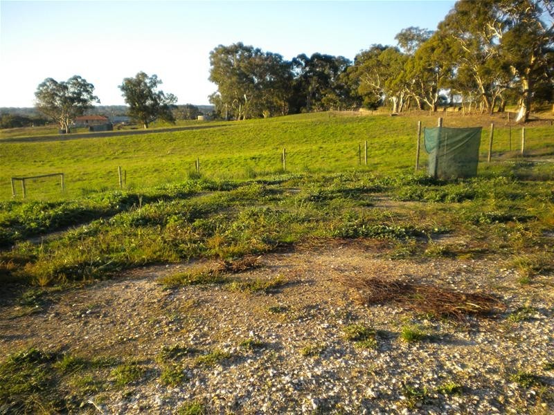 0 Zaltron Road, Birdwood SA 5234