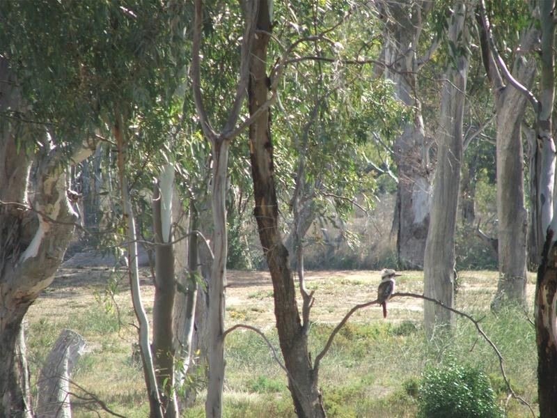 79 Marks Landing, Swan Reach SA 5354