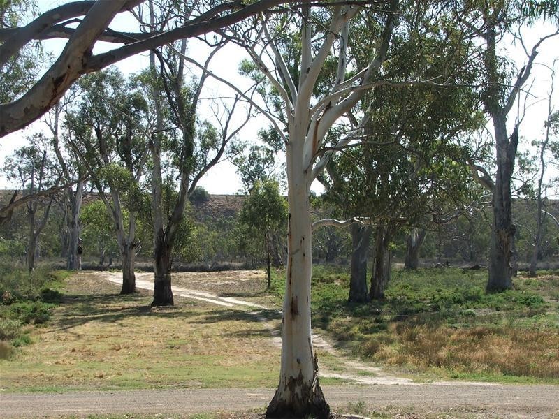 79 Marks Landing, Swan Reach SA 5354