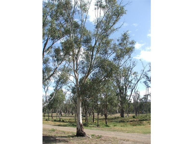 79 Marks Landing, Swan Reach SA 5354