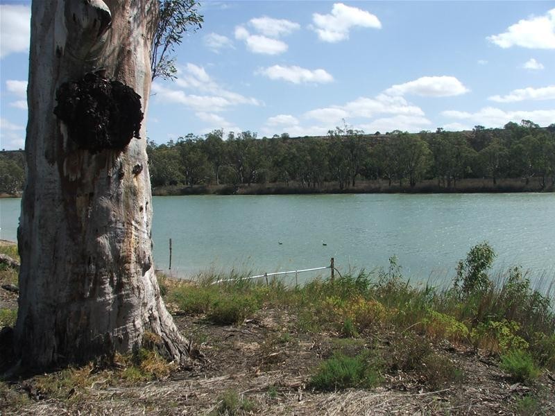 79 Marks Landing, Swan Reach SA 5354