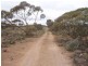 Lot 726 Frost Road Sandleton via, Sedan SA 5353