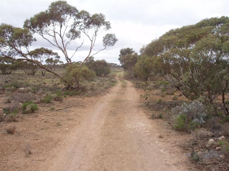 Lot 726 Frost Road Sandleton via, Sedan SA 5353