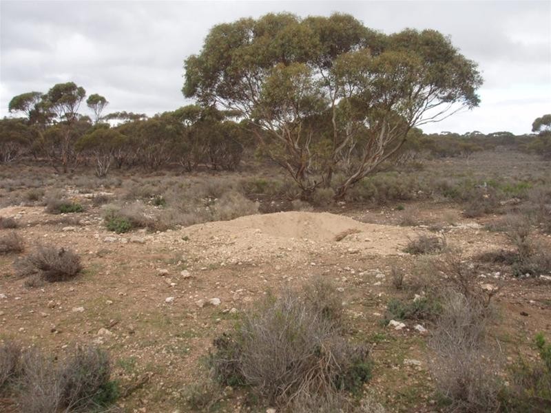 Lot 726 Frost Road Sandleton via, Sedan SA 5353