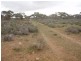 Lot 726 Frost Road Sandleton via, Sedan SA 5353