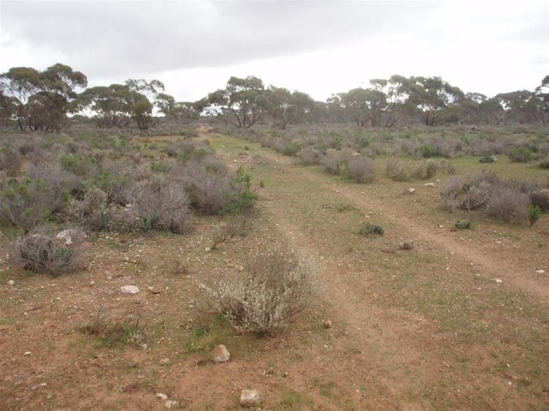 Lot 726 Frost Road Sandleton via, Sedan SA 5353