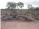 Lot 726 Frost Road Sandleton via, Sedan SA 5353