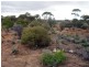 Lot 726 Frost Road Sandleton via, Sedan SA 5353