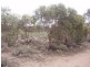 Lot 726 Frost Road Sandleton via, Sedan SA 5353