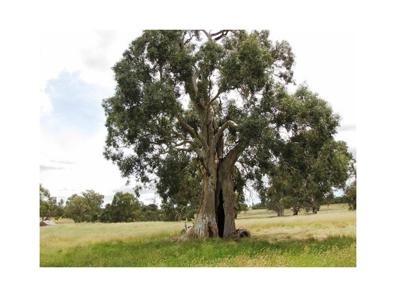 Lot 697 Deane Road, Mount Pleasant SA 5235