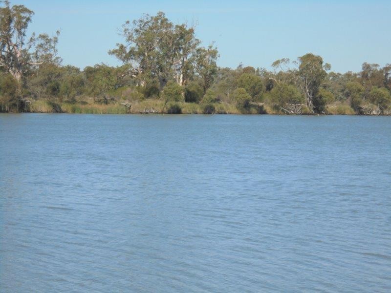 Shack 25 Langs Landing, Swan Reach SA 5354