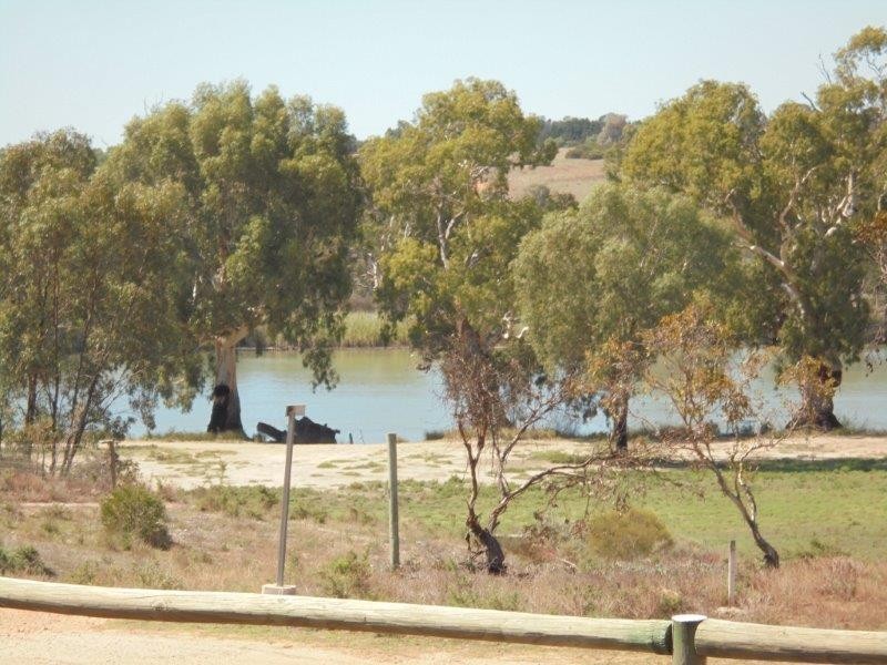 Shack 25 Langs Landing, Swan Reach SA 5354