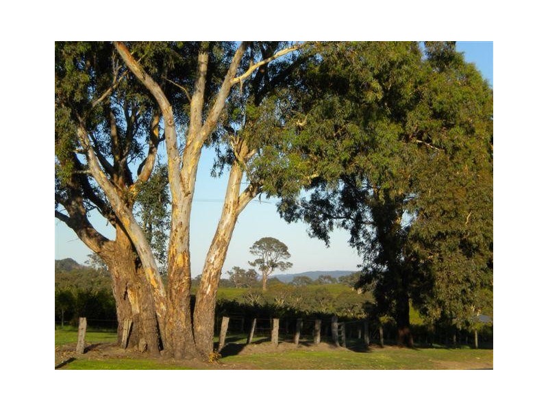 Lot 8, Lot 8 Newman Road, Charleston SA 5244