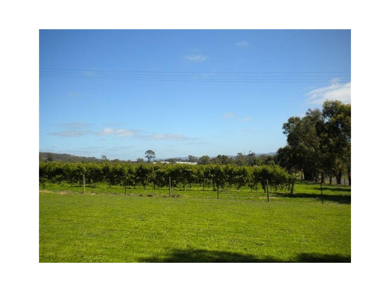 Lot 8, Lot 8 Newman Road, Charleston SA 5244
