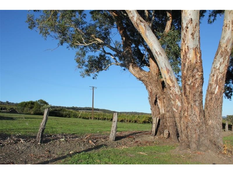 Lot 8, Lot 8 Newman Road, Charleston SA 5244
