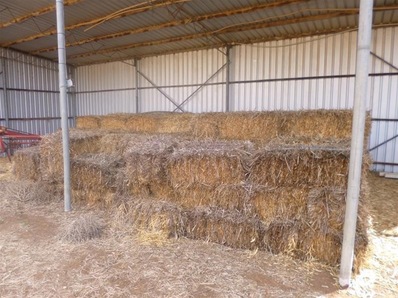 121 Zadow Road, Caloote SA 5254