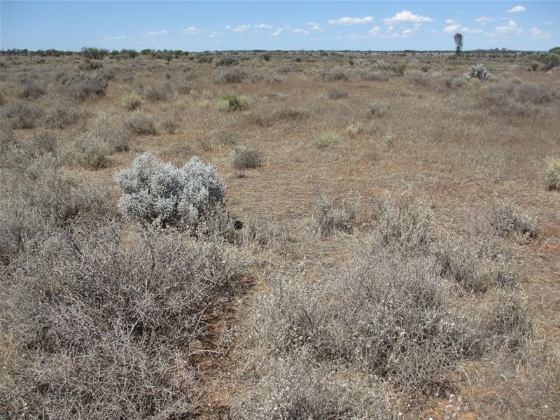 Lot 9 & 10 South  Terrace, Mount Mary SA 5374