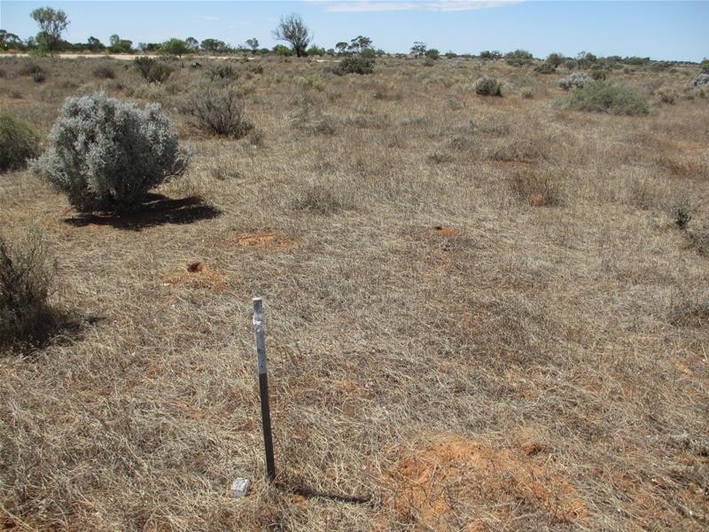 Lot 9 & 10 South  Terrace, Mount Mary SA 5374