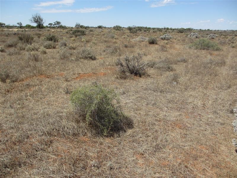 Lot 9 & 10 South  Terrace, Mount Mary SA 5374