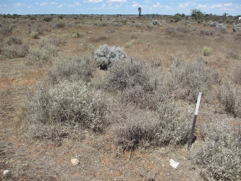 Lot 9 & 10 South  Terrace, Mount Mary SA 5374