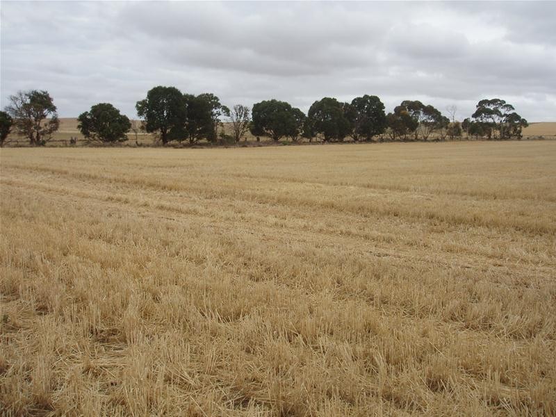 452 Abraham Road, Mannum SA 5238