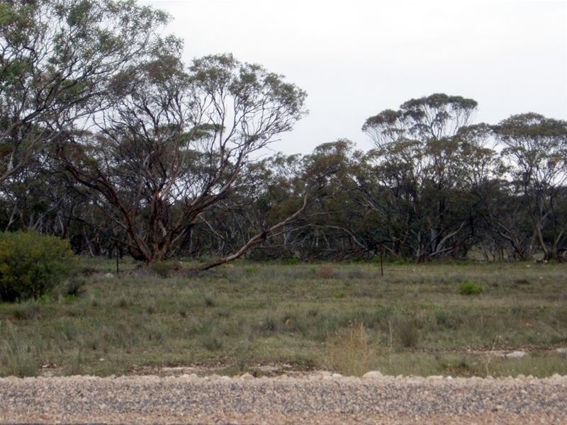 SECTION 54 Bowhill- Purnong Road, Bowhill SA 5238