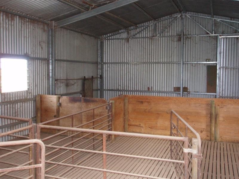 SECTION 54 Bowhill- Purnong Road, Bowhill SA 5238