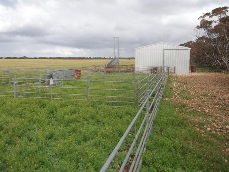 SECTION 54 Bowhill- Purnong Road, Bowhill SA 5238