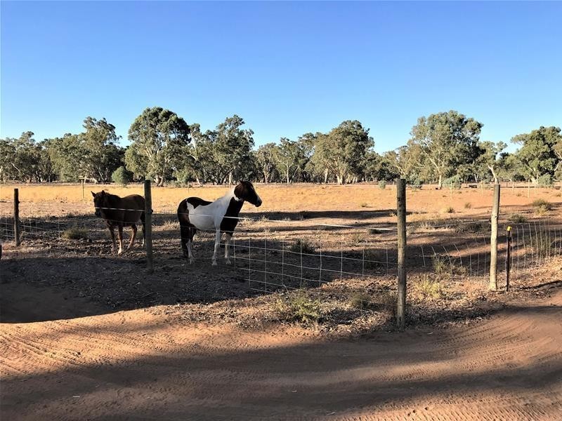 Section 382 Black Hill Road, Cambrai SA 5353