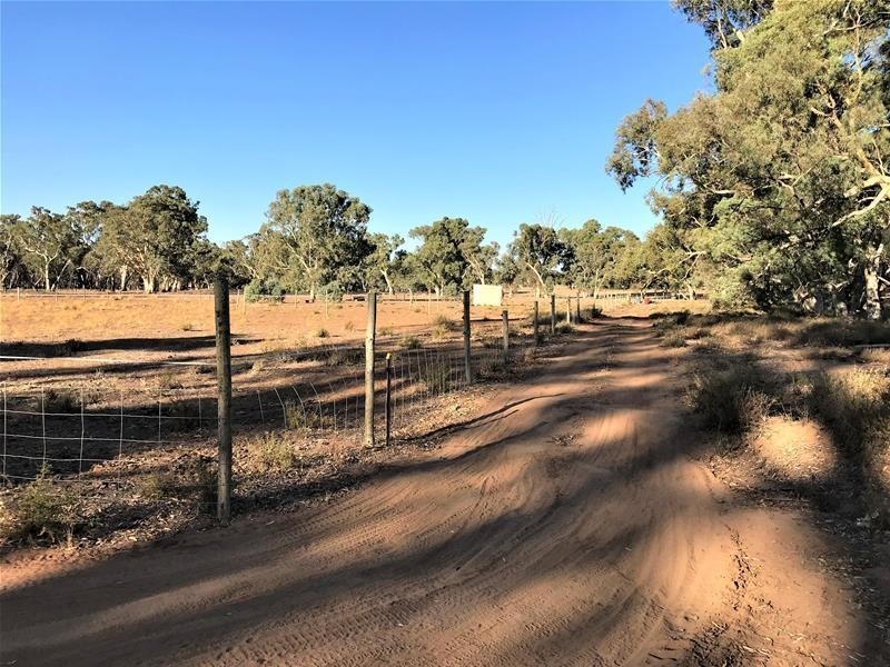 Section 382 Black Hill Road, Cambrai SA 5353