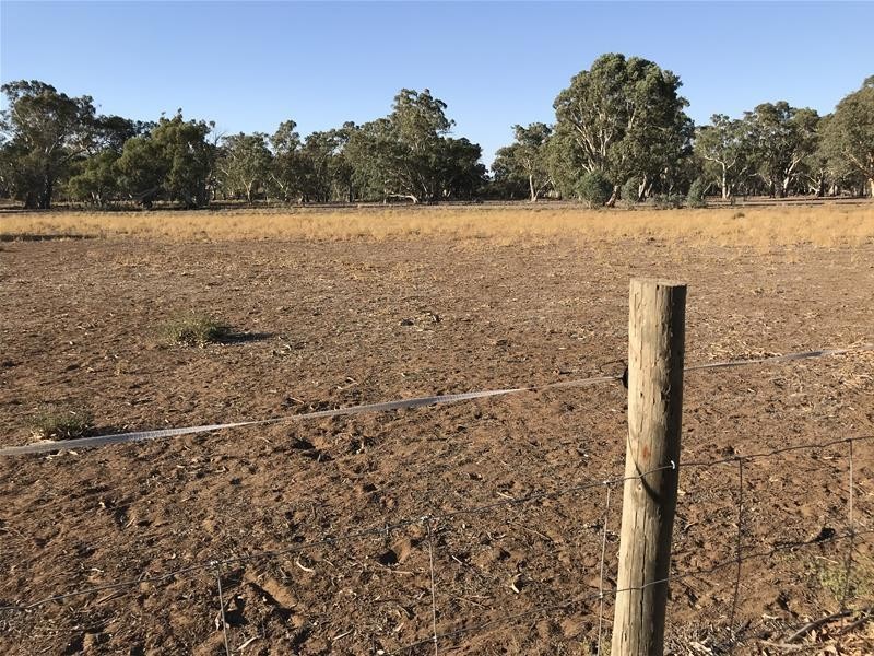 Section 382 Black Hill Road, Cambrai SA 5353