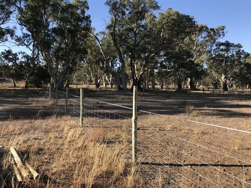 Section 382 Black Hill Road, Cambrai SA 5353